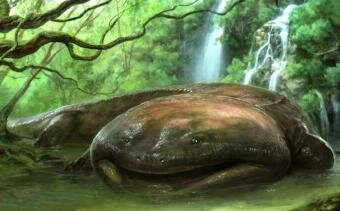 Researchers find crocodile-like amphibian that lived more than 200 million years