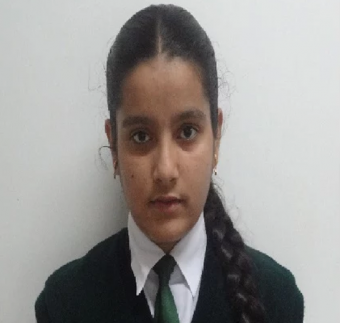 Indian girl wins Community Impact Award at Google Science Fair