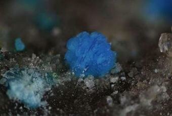 Study links Life on Earth to Existence of Rare Minerals