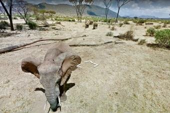 Kenyan Tourist board: Google Street View is the country's first virtual tour of 