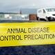 Healthcare workers find bird flu virus in Dunfermline